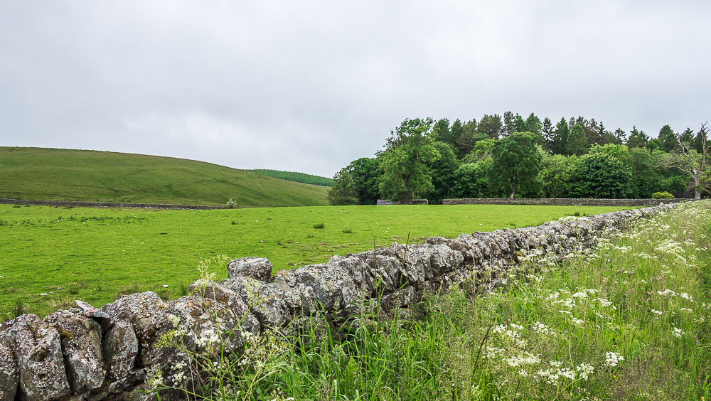 Brier Hill Brier Hill